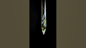 syringe needle Macro #syringeneedle #macro #shorts