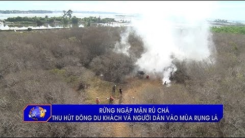 Rừng ngập mặn Rú Chá thu hút đông du khách và người dân vào mùa rụng lá