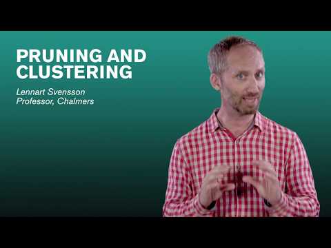 Pruning and clustering