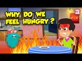 Understanding Hunger: A Quiz on Body Signals and Cravings