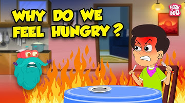 Why Do We Feel Hungry? | What Happens in Your Body When You