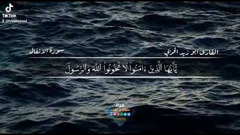 تلاوة جديدة من سورة الأنفال للقارئ أبو زيد الحربي...