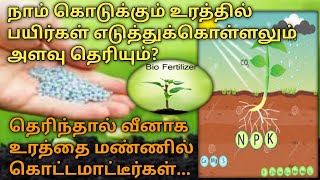 பயிர்களுக்கு தேவையான சத்துக்கள் யாவை? | Crop needed nutrients | vivasaya pokkisham | Agrirajesh