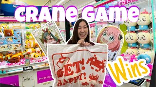 All Our Crane Game Wins in Japan