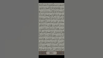 من#سورة #الانبياء #القران_الكريم_راحه_نفسية😍🕋 #القران #مشاري_راشد_العفاسي