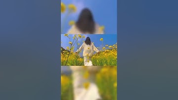 Quay video đơn giản với cánh đồng hoa