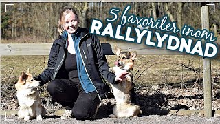 TÄVLING! &amp; visar våra 5 FAVORITÖVNINGAR från Rallylydnad