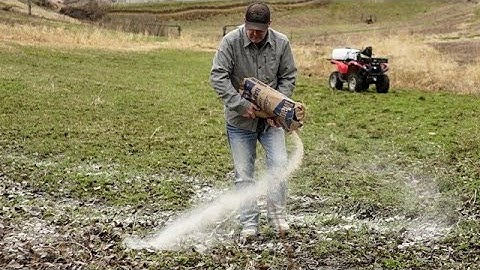 #1 Deer Food Plot Ingredient