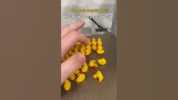 Duck Army day 13! #duck #3dprinting #fyp