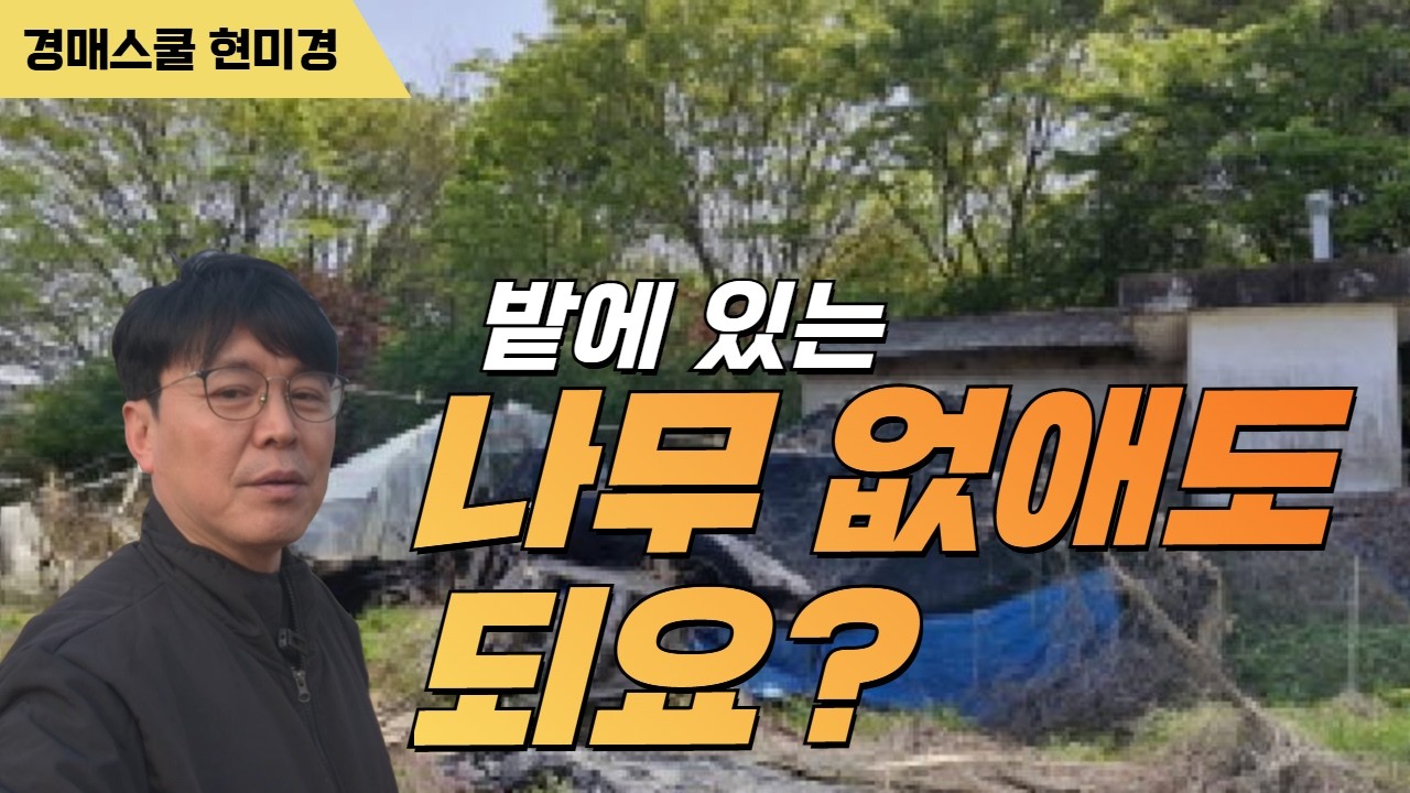 밭에 나무를 베는데 신고? 허가? 그러면 임야는?