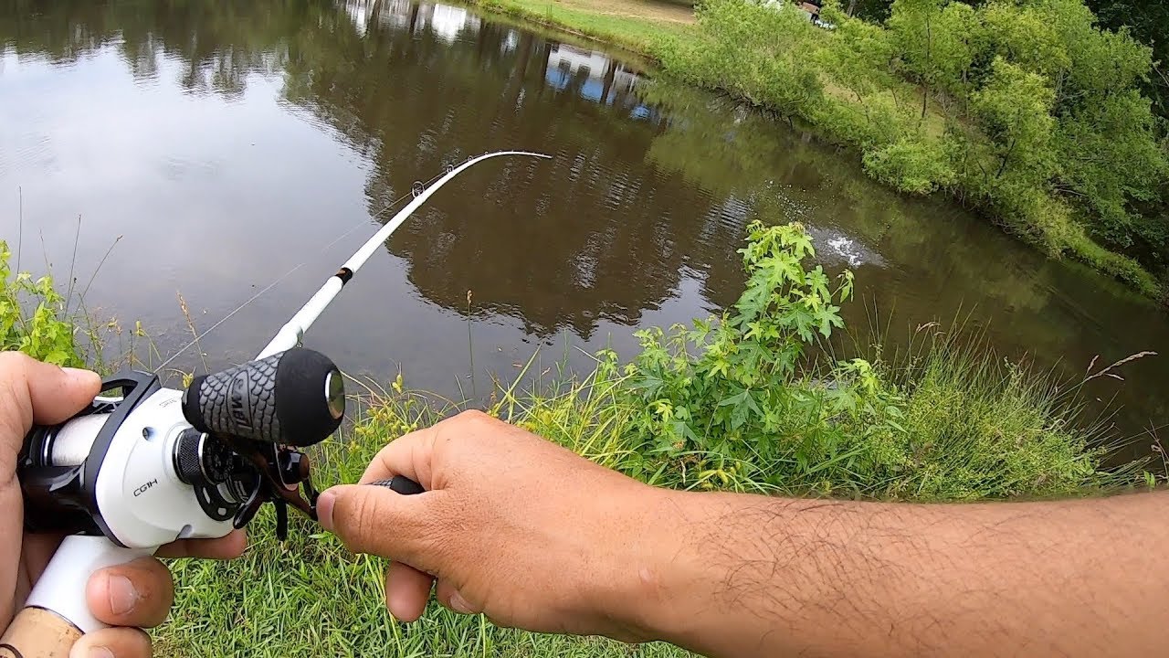 Reto de La Caja Misteriosa | Lobina Gigante