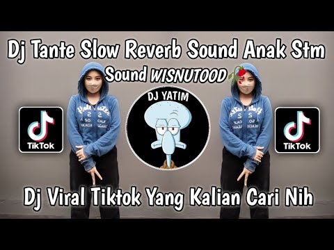 DJ TANTE SLOW REMIX JJ ANAK STM SOUND WISNUTOOD🥀 DJ VIRAL TIKTOK TERBARU 2023 YANG KALIAN CARI