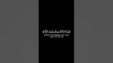 كروما شاشة سوداء قرآن كريم 🌿تلاوة من النحل 🌿القارئ عمر عبدالله 🌿