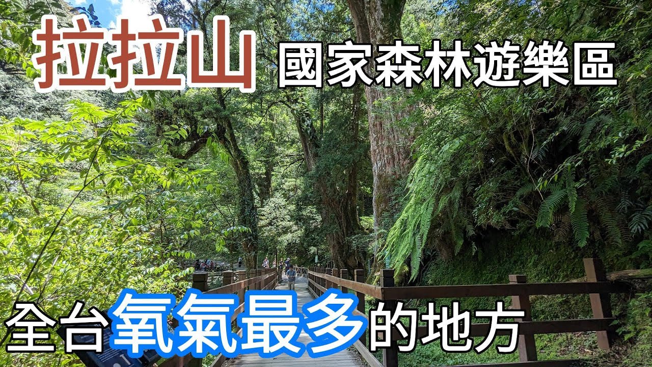 【高鐵遊】🍃 張家界、鳳凰古城五日四夜自由行! ! 📒阿凡達取景漂浮山景🤤超美味農家菜 寨子裏的缽缽菜 🤩精彩表演歌舞表演《魅力湘西》｜Zhangjiajie Travel Vlog