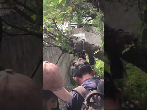 Indian missile attack Shawaii |shaheed masjid Bilaal | indian attacks