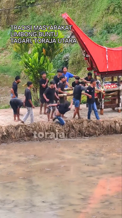 Tradition of the Torajan people in Limbong Buntu Tagari when accompanying a body to the cem3tery.