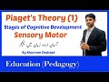 Piaget's  Theory  of Cognitive Development Stages  || Sensorimotor stage  in Urdu Part 1