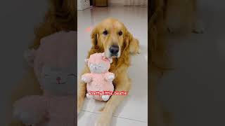 Pretty Little Boy So Easy To Fall In Love With You