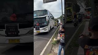 BASURI BUS NESS TRANS #teloletbasuri #busmania