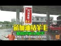 油價越來越高 教你幾個辦法薅加油站的羊毛 一年省出好幾箱油 油價越來越高 教你幾個辦法薅加油站的羊毛 一年省出好幾箱油