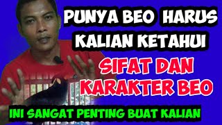 Ciri Ciri Sifat Dan Karakter Burung Beo