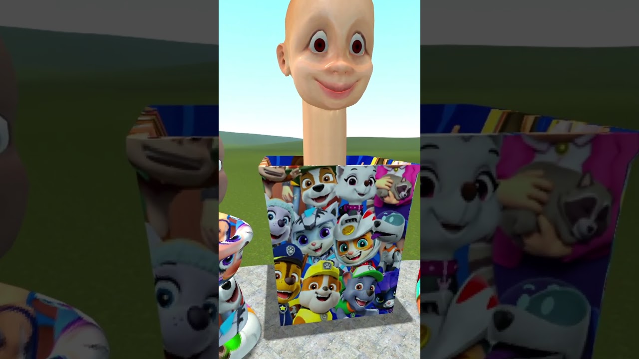 ALL SIZE PAW PATROL CHARACTERS SKIBIDI TOILET DUMPSTER BABY FROM SMALL TO BIG in Garry's Mod !