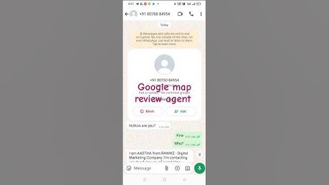 Google map review agent