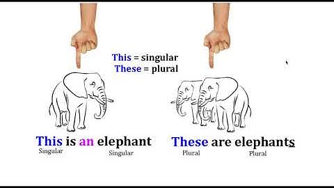 Intro, Unit 2 - A , An / This, That, These, Those