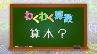【わくわく算数「算木？」】広島文教女子大学 初等教育学科
