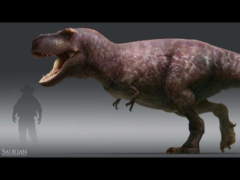 tyrannosaurus rex Vs