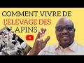 Comment faire pour vivre de llevage des lapins  pour les dbutants cuniculture rabbits