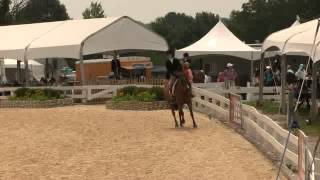 Video of FLY WITH ME ridden by COURTNEY BAILEY from ShowNet!