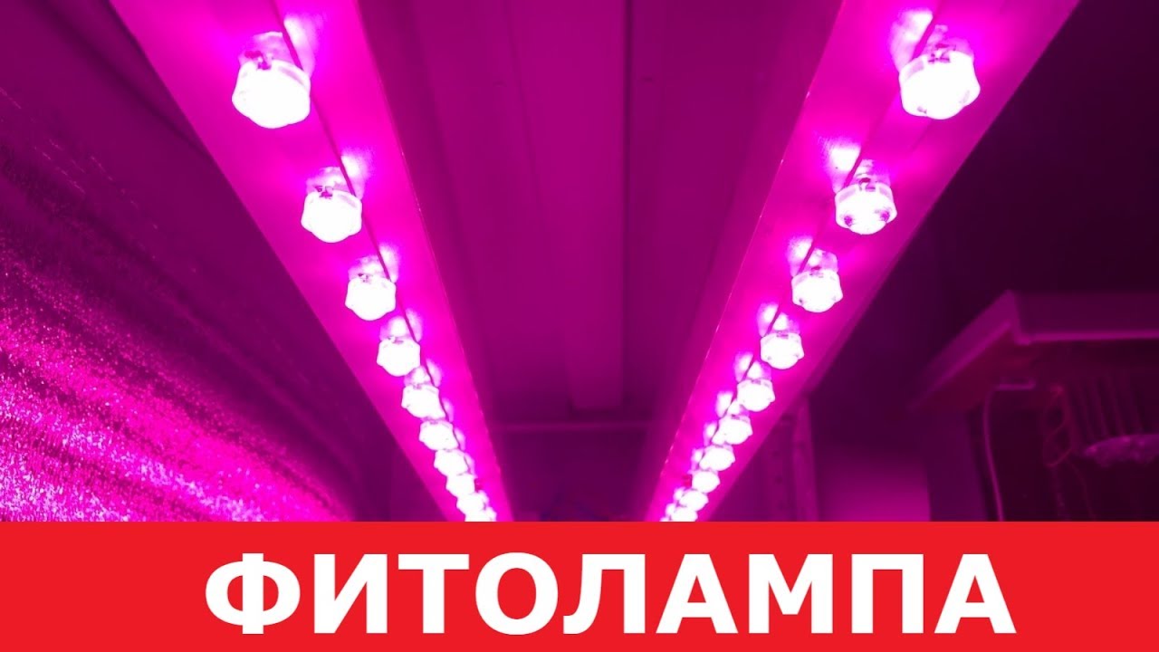 Фитолампа своими руками из светодиодов! Правильный свет для выращивания для растений.