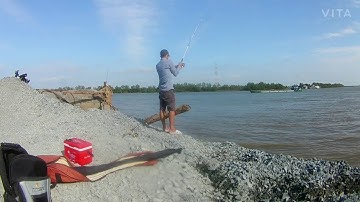 Bãi câu đẹp ở bến phà Tân Long - Gò Công Tây.