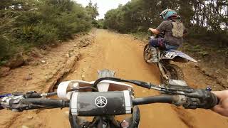 Purangi Trail Ride January 2024