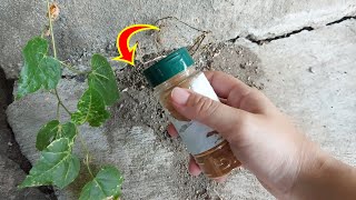 : 42    ,    
