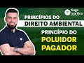 Princípios do Direito Ambiental - PRINCÍPIO DO POLUIDOR PAGADOR [ RESUMO! ]