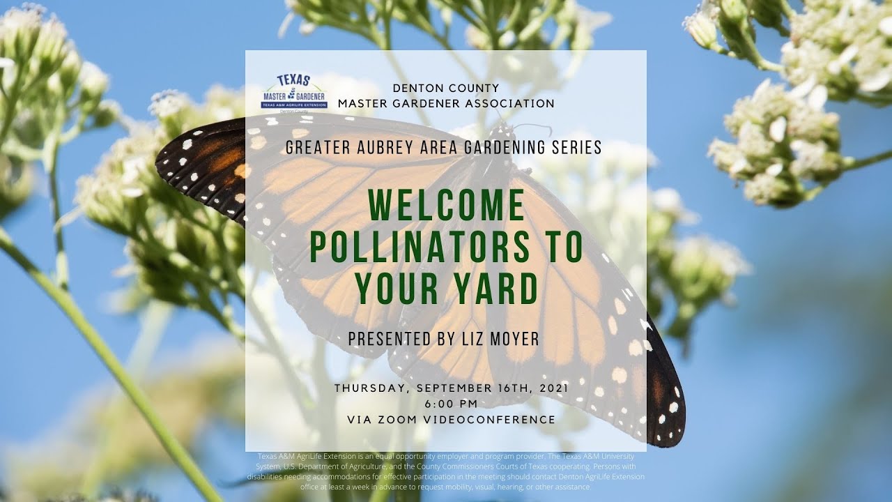 Presented by Liz Moyer for the Denton County MGA Greater Aubrey Area Gardening Series in cooperation with Keep Audrey Beautiful and the Greater Aubrey Area Library.