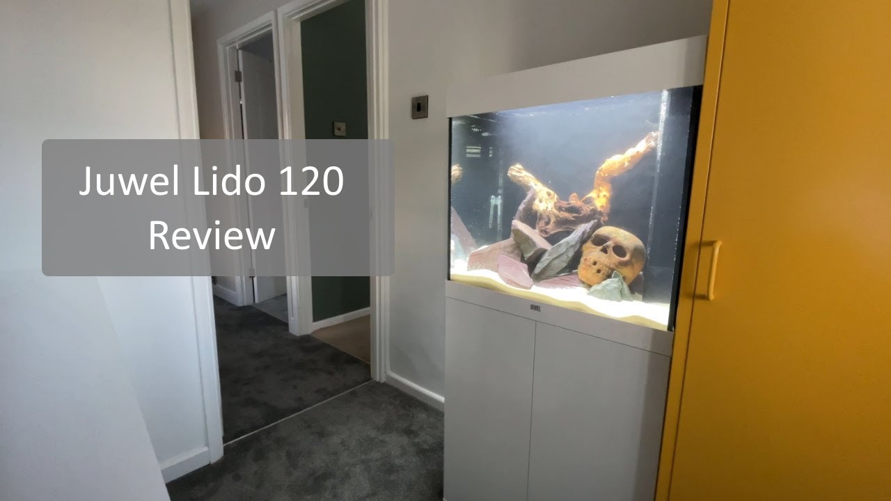 Juwel Lido 120 and Overview - YouTube
