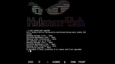 Run train in TERMUX- android terminal