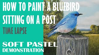 How to Paint a Bluebird Sitting on a Post - How to Paint Birds - Birds in Soft Pastel