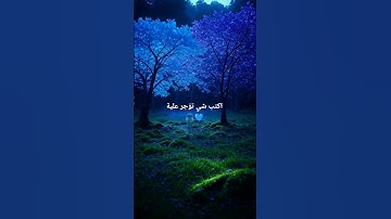 الشيخ المنشاوي| سورة التوبة 🎧🕊️🤍 #اكسبلور #القزابري #الرحمن #لايك #ايقنت #راحة_نفسية #المصحف