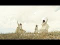 まなみのりさ 『花びら』 (Official Music Video)