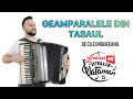 Vitalie Vataman - Geamparalele din Tasaul de Sile Ungureanu