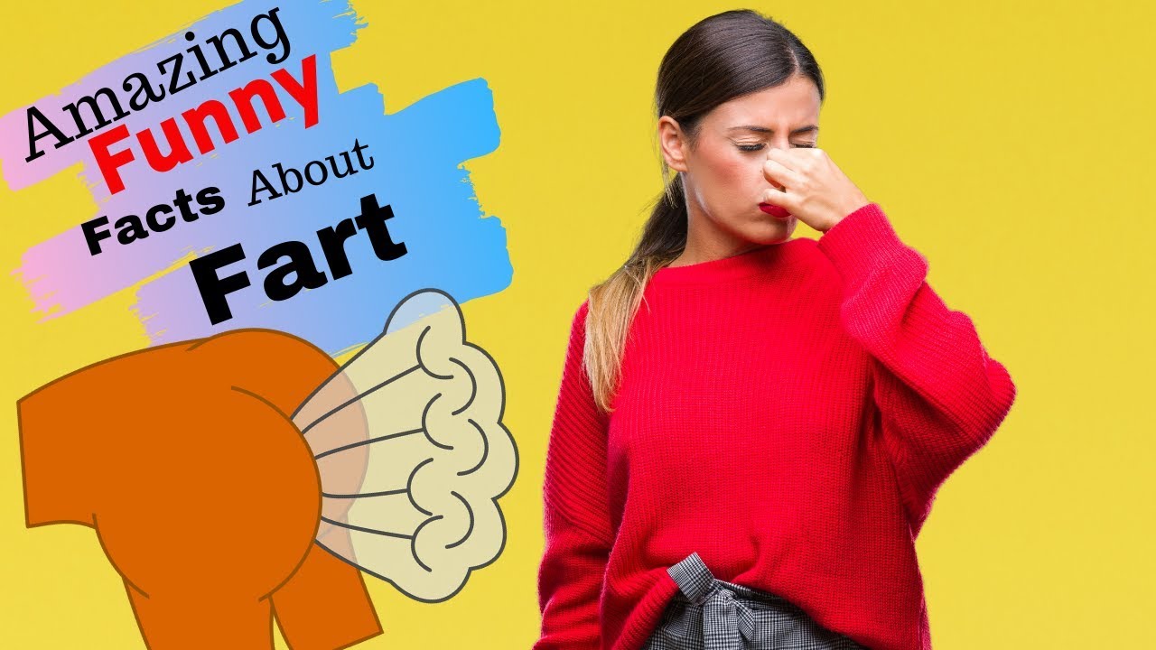 14 Amazing Facts About Fart Funny Facts About Farting Youtube 