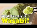 Was Genau Ist Wasabi Die Wahrheit Hinter Der Grünen Paste