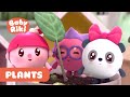 BabyRIKI Cartoons Episodes About Plants For Kids 0 En 