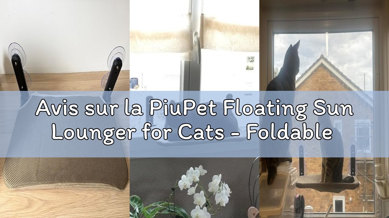 Avis sur la PiuPet Floating Sun Lounger for Cats - Foldable and Space-Saving Sun Lounger with Suctio