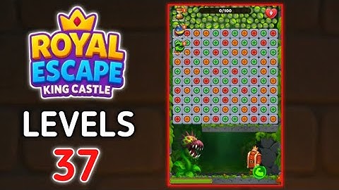 Royal Escape King Castle Level 37 Gameplay Walkthrough