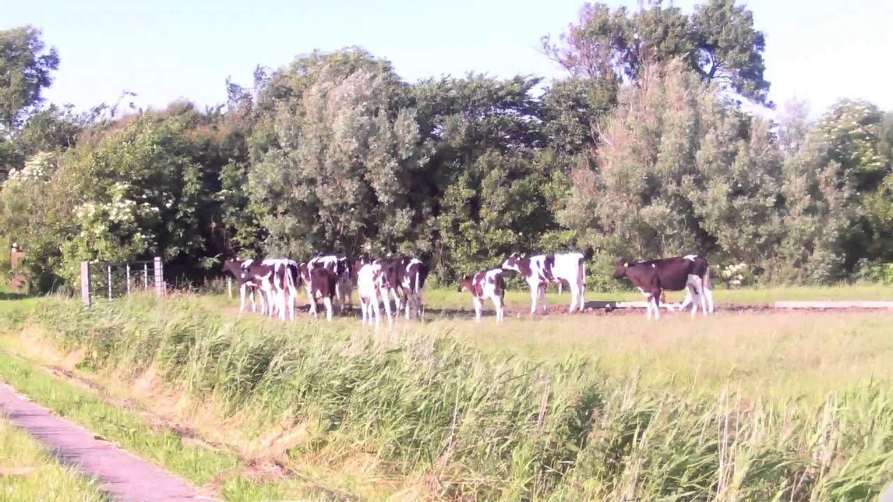 Unsere Kleine Farm Online Stream Unsere Kleine Farm Online Stream